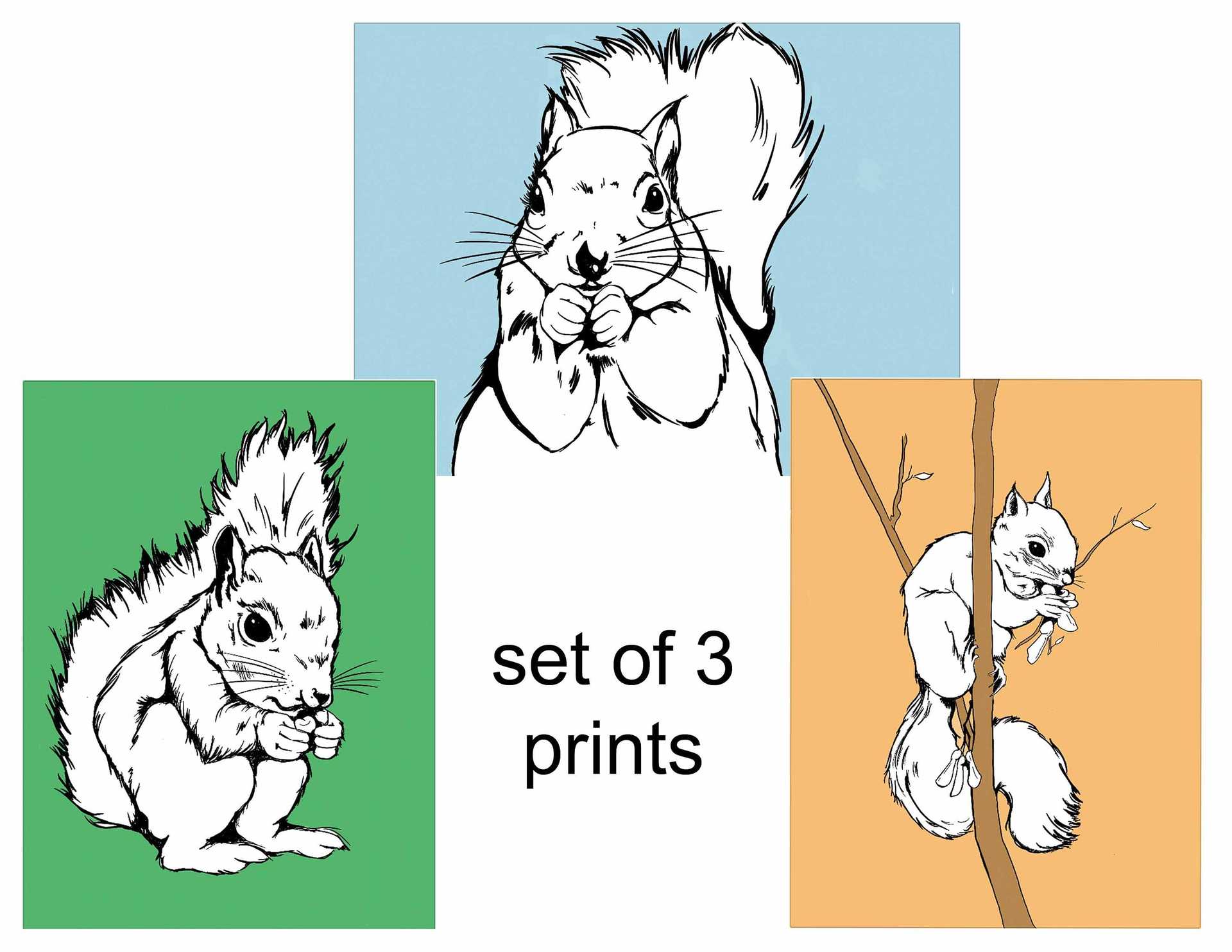 Set of 3 Squirrel Prints
